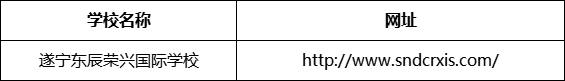 遂寧市遂寧東辰榮興國際學校網址是什么？