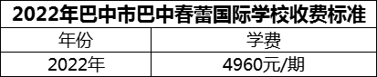 2024年巴中市巴中春蕾國際學(xué)校學(xué)費(fèi)多少錢？