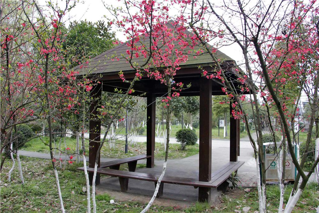 綿陽市秀水中學(xué)校園風(fēng)采