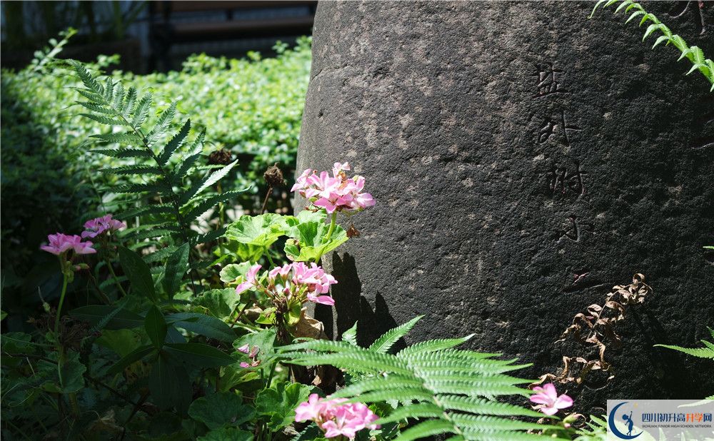 石室聯(lián)合中學(xué)蜀華分校住宿費用是多少？