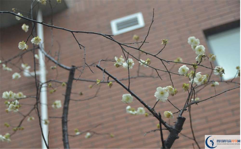 新格林藝術(shù)高級中學(xué)校的高中住宿怎么樣？