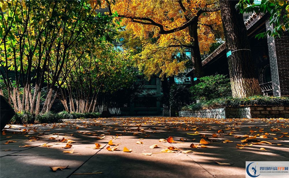 2019年北京師范大學(xué)成都實(shí)驗(yàn)中學(xué)中考錄取分?jǐn)?shù)線